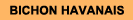 OM HAVANAIS