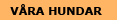 VÅRA HUNDAR